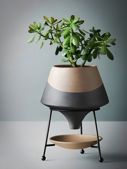 HongLuo Artisan Planters Family featuring a modern two-tone ceramic planter with black metal stand. The elevated design showcases a jade plant with succulent leaves, complemented by a matching saucer beneath. Contemporary minimalist style with beige and charcoal color scheme.