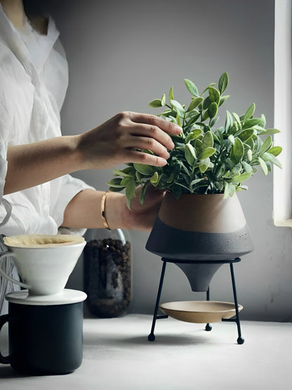 HongLuo Artisan Planters Family modern ceramic planter with two-tone design shown with lush green plant, displayed alongside coffee brewing equipment on minimalist white surface, elegant lifestyle setting with natural lighting